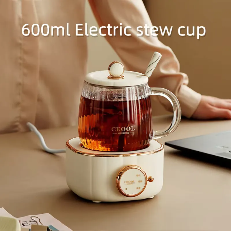 1777105606583_600ml-health-teapot-with-tea-infuser-multifunction-electric-stew-cup-220v-electric-kettle-heating-cup-1.webp